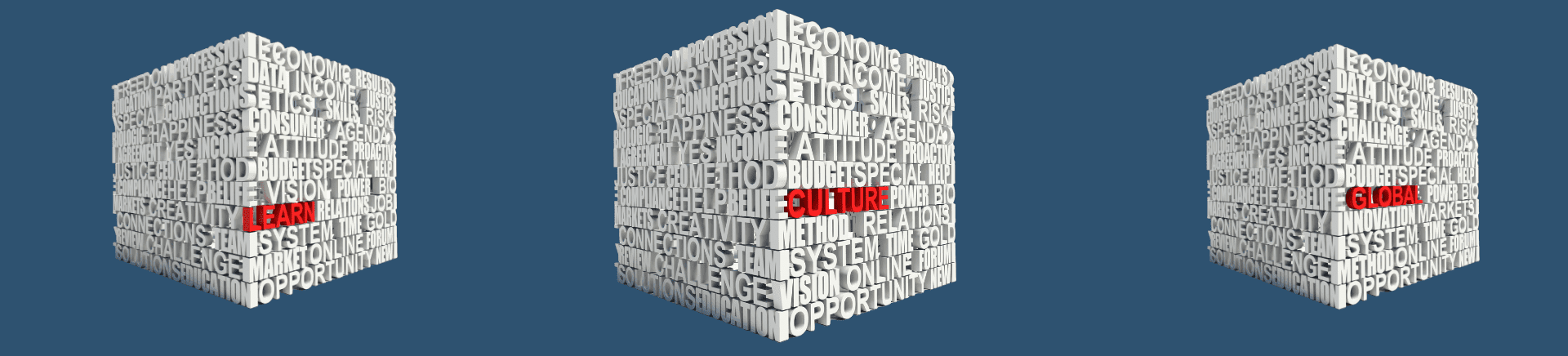Company Culture & About Us